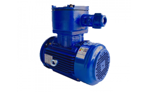 TECO Exd IIBT4 Explosion-Proof Motors